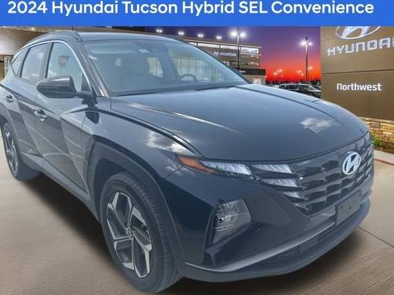 HYUNDAI TUCSON 2024 KM8JCCD17RU181308 image