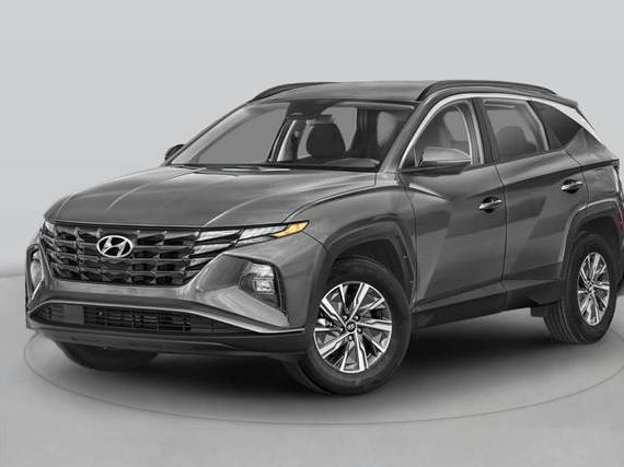 HYUNDAI TUCSON 2024 KM8JECD14RU136868 image