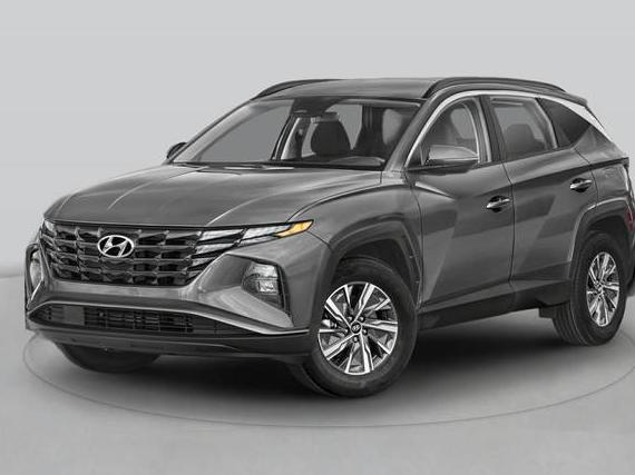 HYUNDAI TUCSON 2024 KM8JCCD10RU193140 image