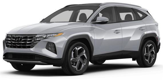 HYUNDAI TUCSON 2024 5NMJECDE3RH305681 image