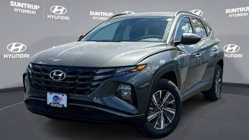 HYUNDAI TUCSON 2024 KM8JBCD19RU194855 image