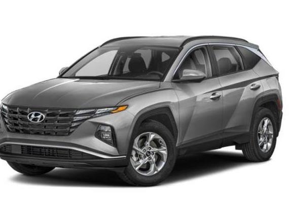 HYUNDAI TUCSON 2024 5NMJBCDE6RH365608 image