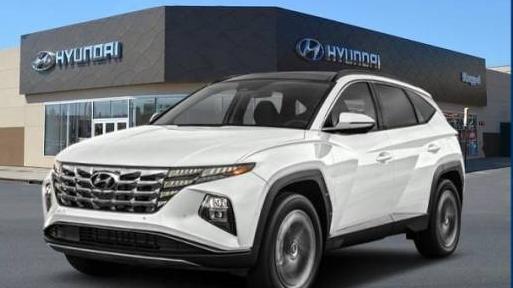 HYUNDAI TUCSON 2024 KM8JBDD24RU145593 image