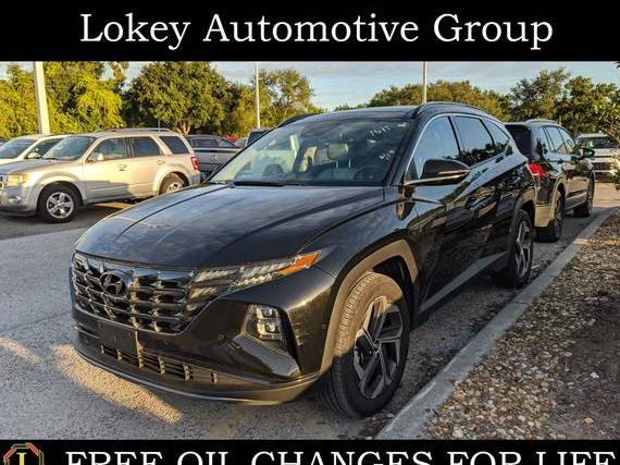 HYUNDAI TUCSON 2024 5NMJECDE7RH351577 image HYUNDAI TUCSON 2024 5NMJECDE7RH351577 image