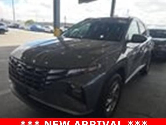 HYUNDAI TUCSON 2024 5NMJBCDE6RH386216 image