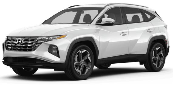HYUNDAI TUCSON 2024 5NMJB3DE0RH381125 image