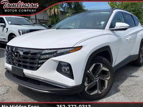 HYUNDAI TUCSON 2024 5NMJECDE9RH306625 image