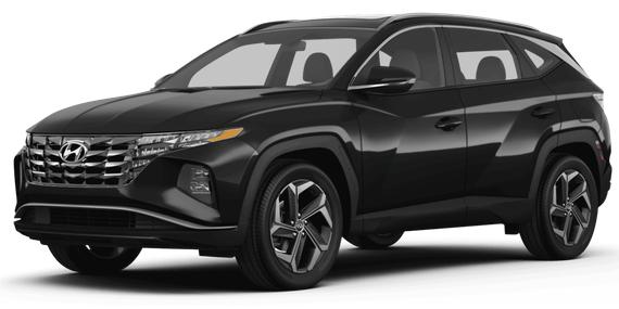 HYUNDAI TUCSON 2024 5NMJF3DE0RH379198 image