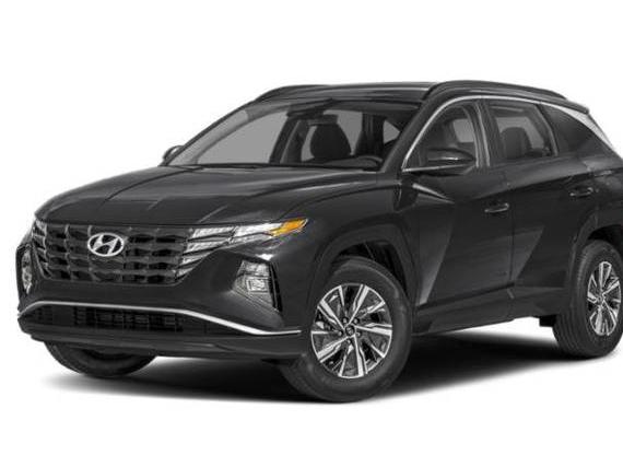 HYUNDAI TUCSON 2024 KM8JBCD14RU196254 image