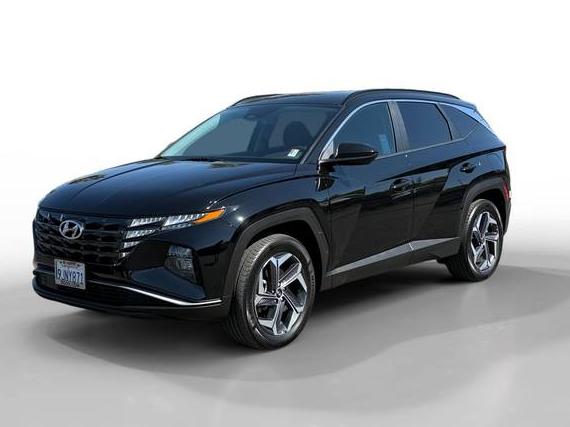 HYUNDAI TUCSON 2024 KM8JBDD2XRU142083 image