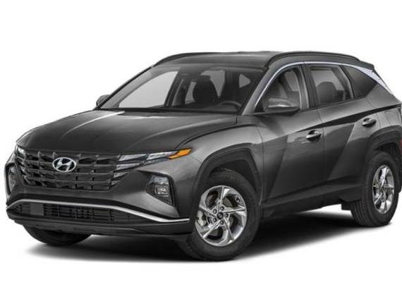 HYUNDAI TUCSON 2024 5NMJBCDE2RH299655 image
