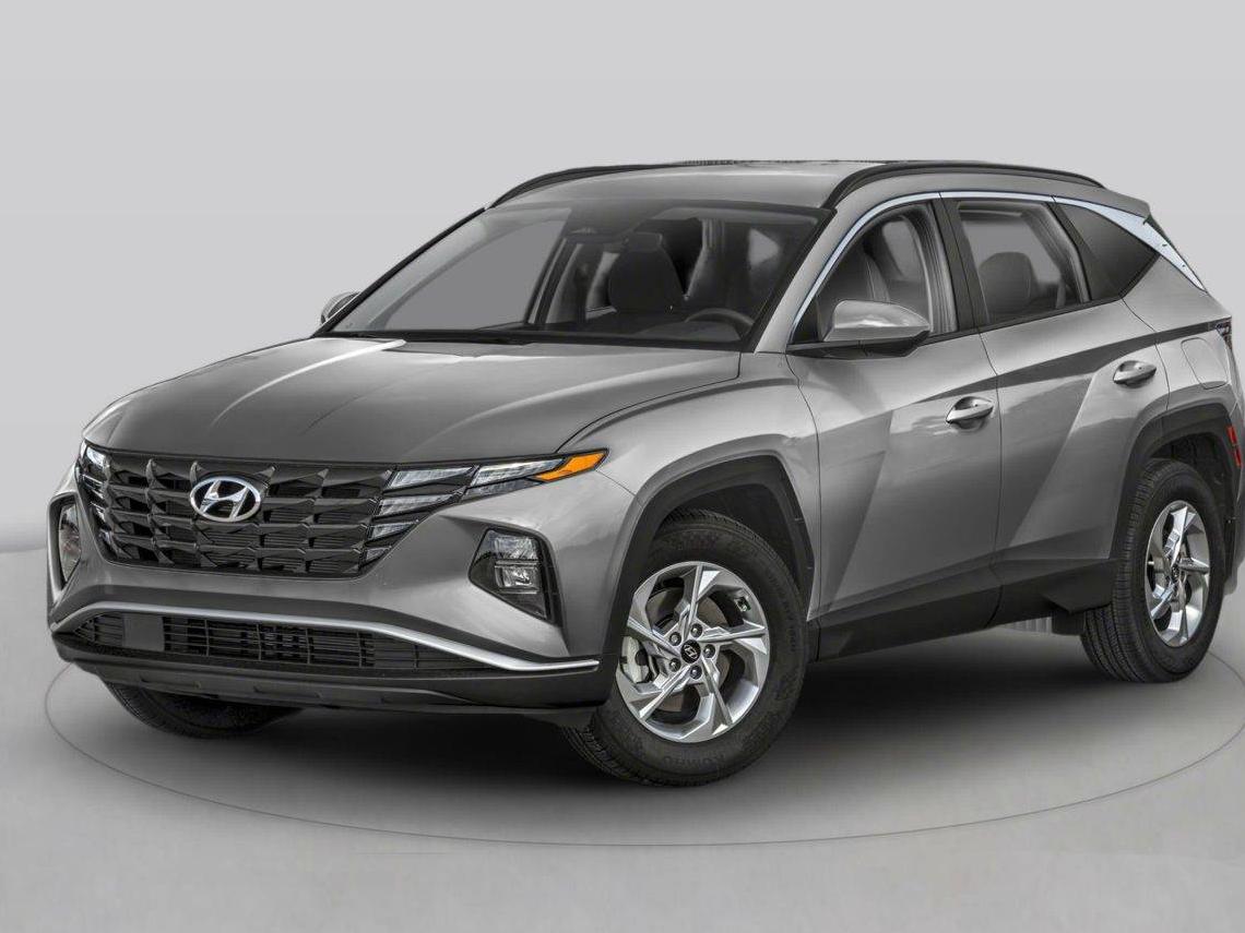 HYUNDAI TUCSON 2024 5NMJB3DE9RH295893 image