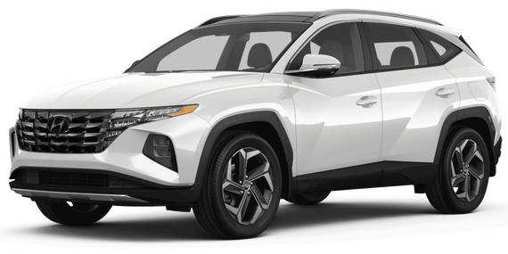 HYUNDAI TUCSON 2024 5NMJE3DE6RH361095 image