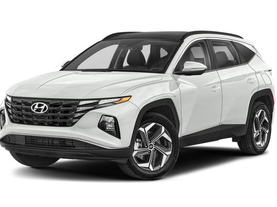 HYUNDAI TUCSON 2024 KM8JCCD15RU185275 image