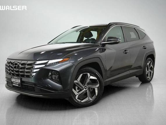 HYUNDAI TUCSON 2024 5NMJECDE5RH353876 image