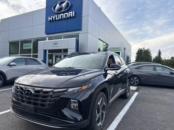 HYUNDAI TUCSON 2022 5NMJECAE3NH081892 image