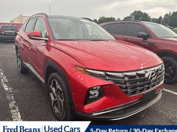 HYUNDAI TUCSON 2022 5NMJECAE3NH135045 image