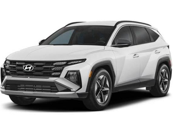 HYUNDAI TUCSON 2025 5NMJBCDE5SH481744 image