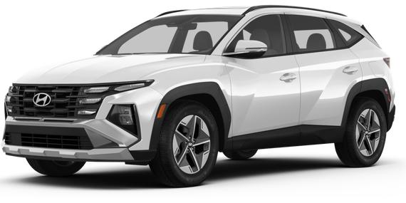 HYUNDAI TUCSON 2025 5NMJBCDE8SH459480 image