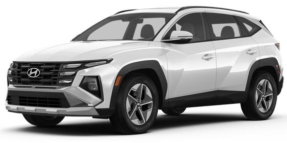 HYUNDAI TUCSON 2025 5NMJBCDE7SH477579 image