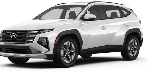 HYUNDAI TUCSON 2025 5NMJB3DE3SH507693 image