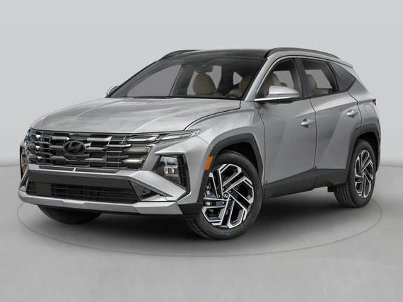 HYUNDAI TUCSON 2025 5NMJE3DE8SH491546 image