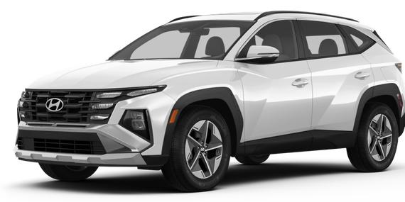 HYUNDAI TUCSON 2025 5NMJBCDE6SH485737 image