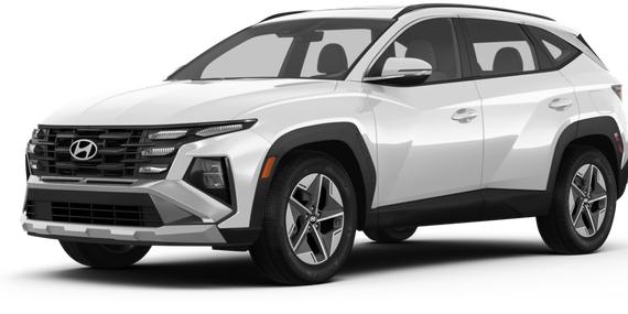 HYUNDAI TUCSON 2025 5NMJBCDE5SH460845 image