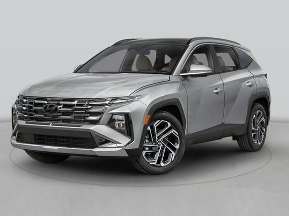 HYUNDAI TUCSON 2025 KM8JA3DE7SU376484 image