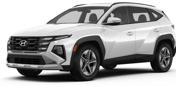 HYUNDAI TUCSON 2025 5NMJBCDE0SH532051 image