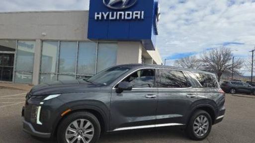 HYUNDAI PALISADE 2023 KM8R1DGE8PU573630 image