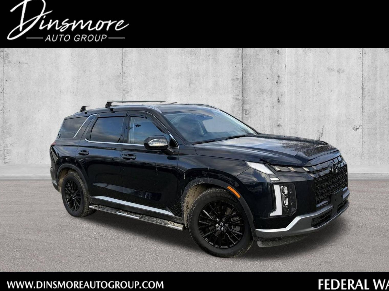 HYUNDAI PALISADE 2023 KM8R2DGE9PU511893 image