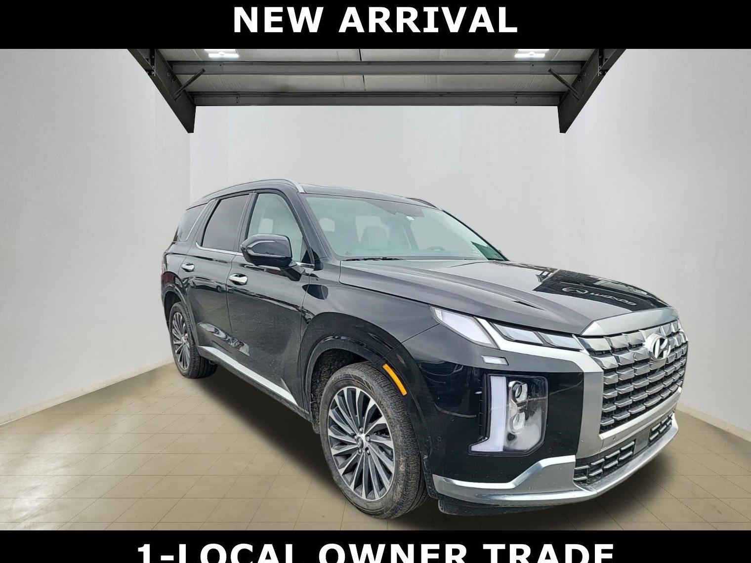 HYUNDAI PALISADE 2024 KM8R7DGE7RU694313 image