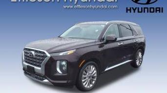 HYUNDAI PALISADE 2020 KM8R5DHE9LU132845 image