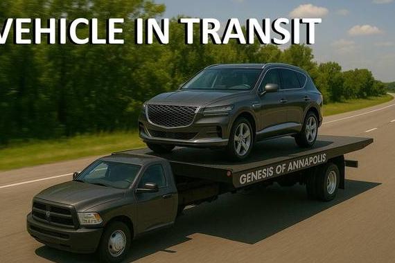 HYUNDAI PALISADE 2020 KM8R2DHE9LU053717 image