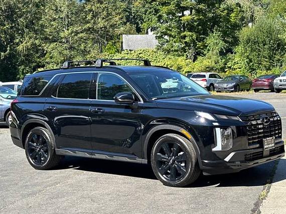 HYUNDAI PALISADE 2025 KM8R3DGEXSU852354 image