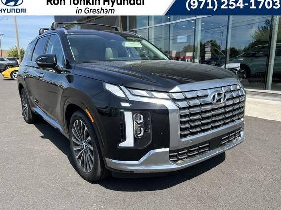 HYUNDAI PALISADE 2025 KM8R7DGE1SU823135 image