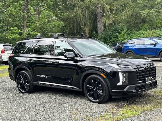 HYUNDAI PALISADE 2025 KM8R3DGE5SU863360 image