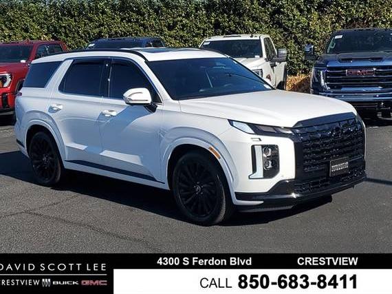 HYUNDAI PALISADE 2025 KM8R7DGE6SU808761 image