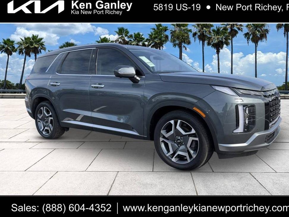 HYUNDAI PALISADE 2025 KM8R44GE6SU836276 image