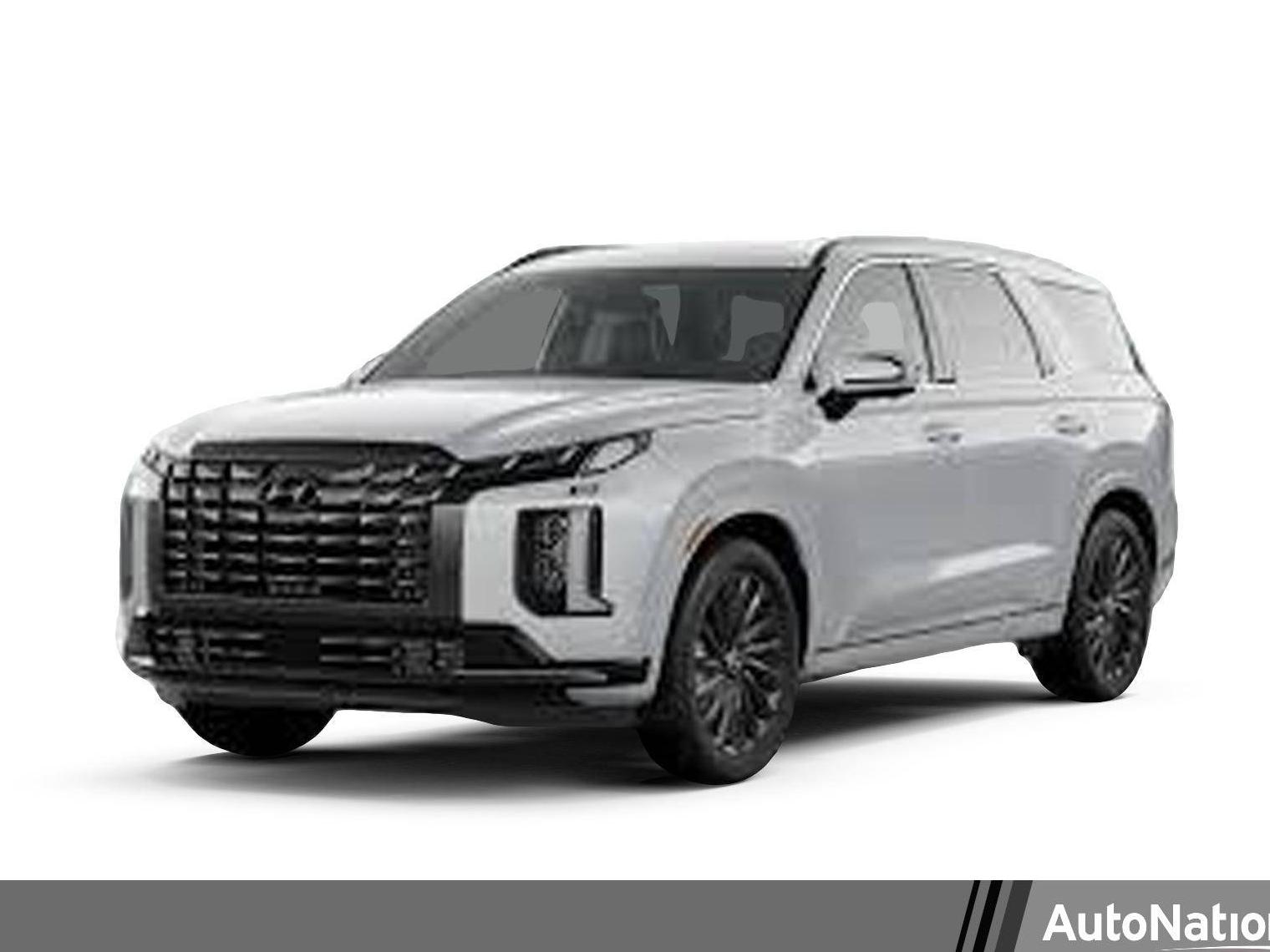 HYUNDAI PALISADE 2025 KM8R7DGEXSU819648 image