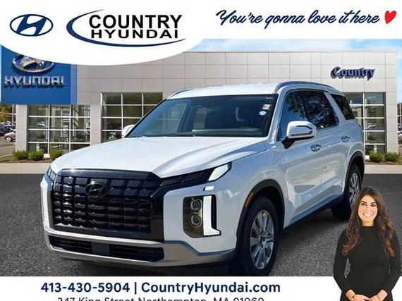 HYUNDAI PALISADE 2025 KM8R2DGE7SU860124 image