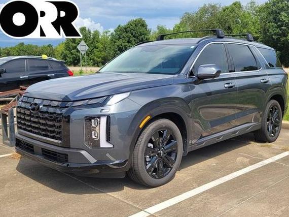 HYUNDAI PALISADE 2025 KM8R3DGE0SU877005 image