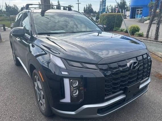 HYUNDAI PALISADE 2025 KM8R44GE4SU842996 image
