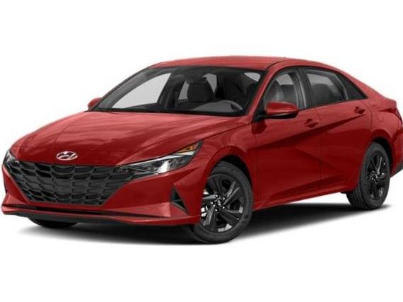 HYUNDAI ELANTRA 2023 5NPLM4AG3PH100403 image