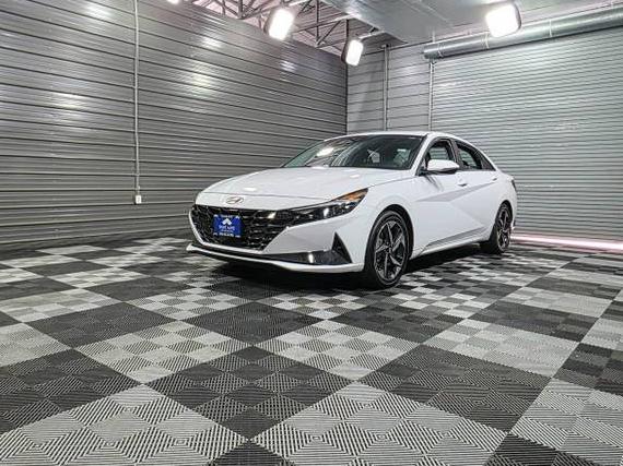 HYUNDAI ELANTRA 2023 KMHLN4AJ2PU052452 image