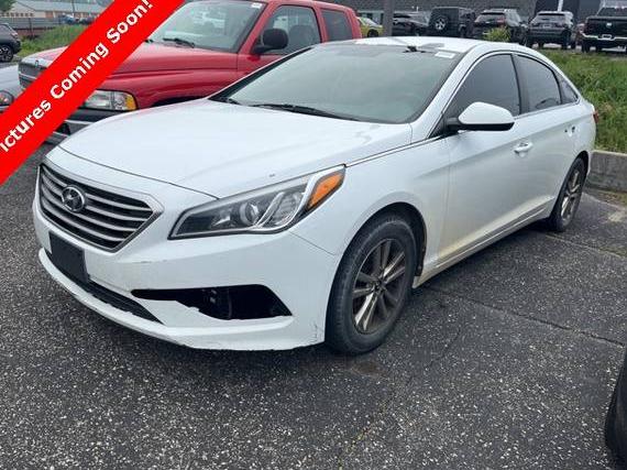 HYUNDAI SONATA 2016 5NPE24AFXGH375854 image
