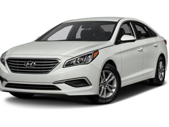 HYUNDAI SONATA 2016 5NPE34AF3GH345074 image