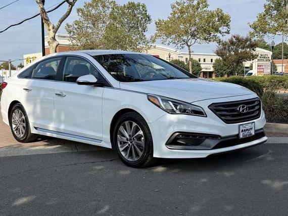 HYUNDAI SONATA 2016 5NPE34AF3GH261577 image