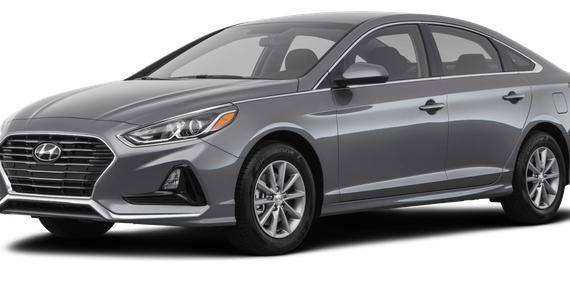 HYUNDAI SONATA 2019 5NPE24AF6KH795569 image